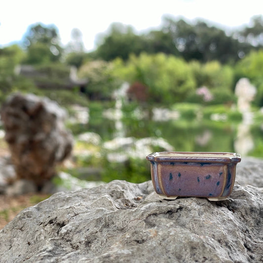 New! Tiny Rectangle Mame Bonsai Pot in Pearl Purple Aster, About 1.5 inches wide