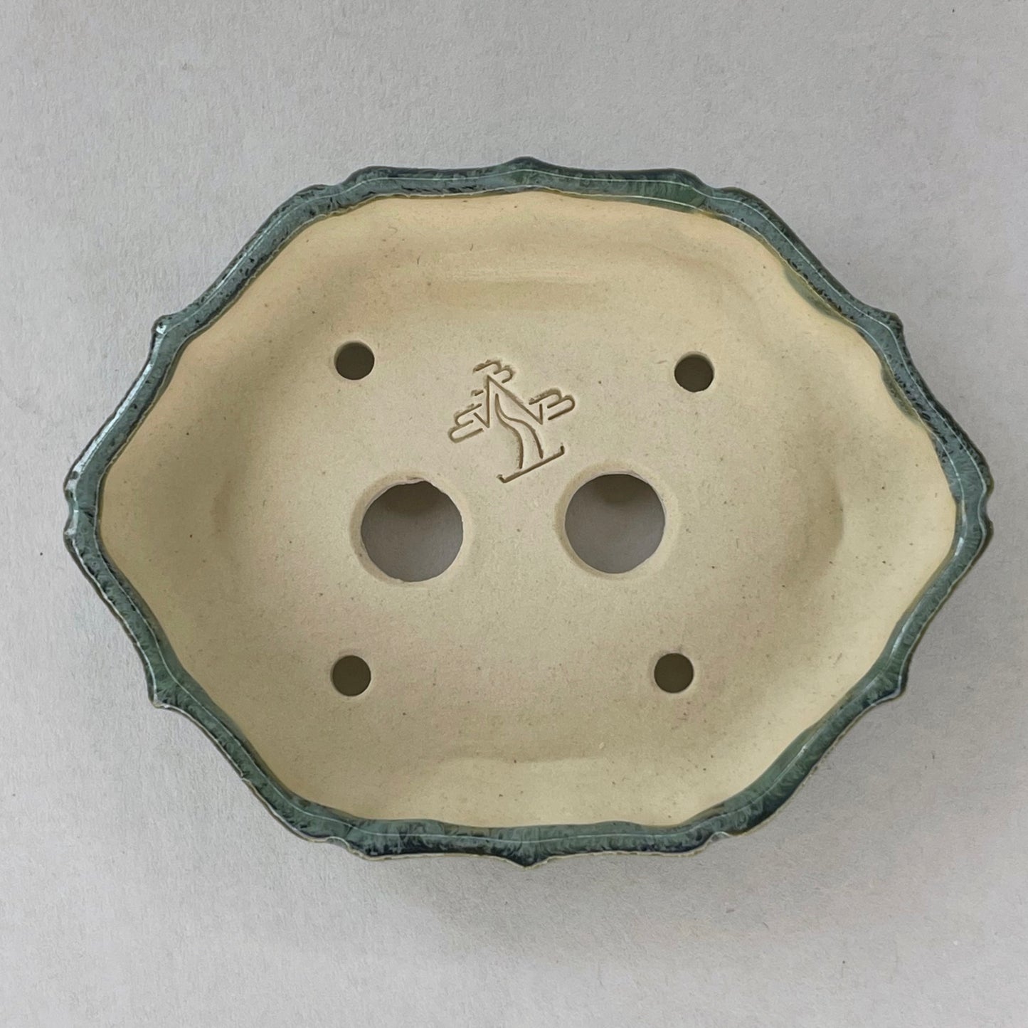 New! Tiny Shallow Decorative Mame Bonsai Pot in Monstera Moss, Less than 2.5 inches wide