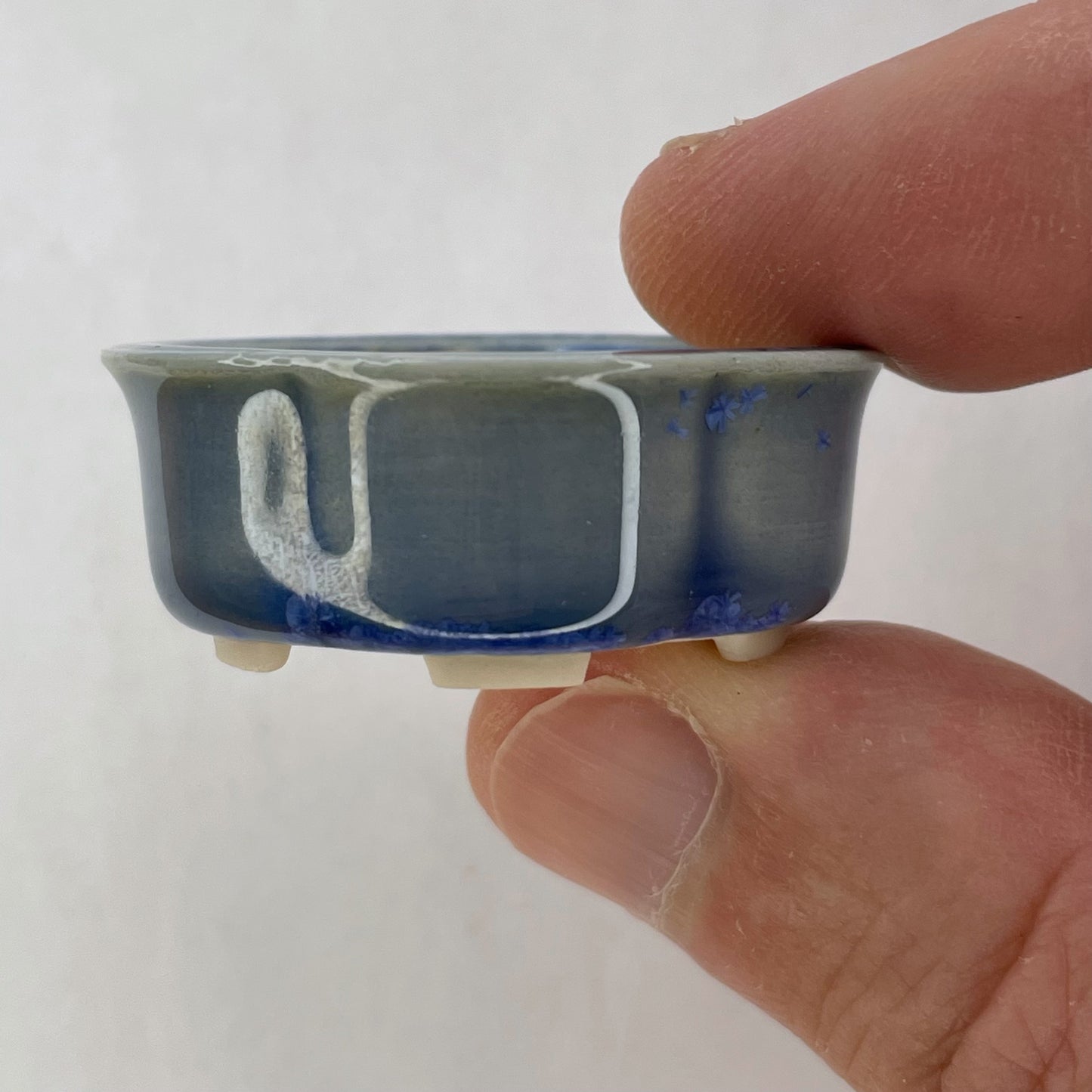 New! Tiny Flared Rounded Oval Mame Bonsai Pot in Light Cerulean, About 1.5 inches wide
