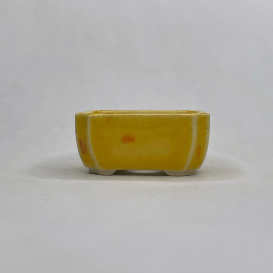 New! Tiny Rectangle Mame Bonsai Pot in Sassy Orange, About 1 inch wide