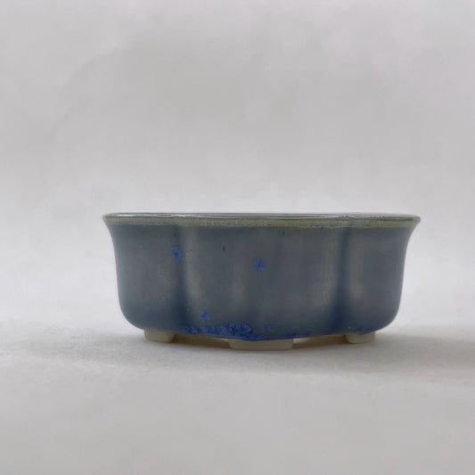 New! Tiny Flared Rounded Oval Mame Bonsai Pot in Light Cerulean, About 1.5 inches wide