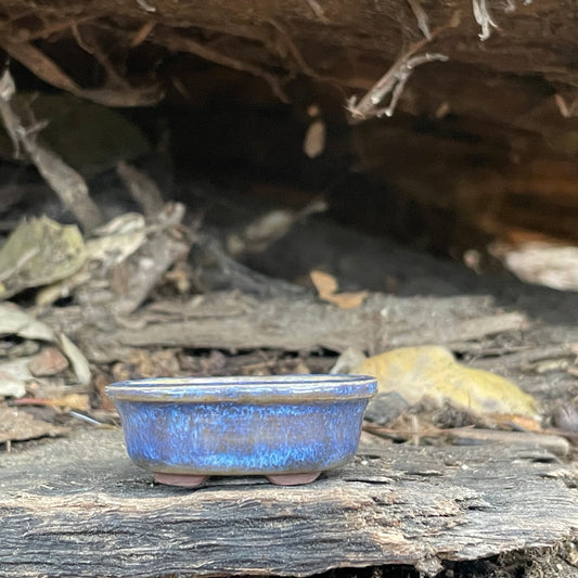 New! Tiny Oval Mame Bonsai Pot in Chocolate Porcelain with a Blue Glaze, About 1.5 inches long